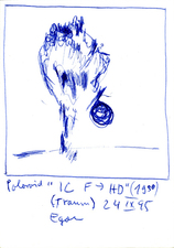 EGON ZIPPEL / Online Archive 1995 