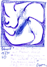 EGON ZIPPEL / Online Archive 1994 