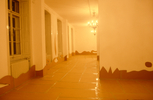 EGON ZIPPEL / Online Archive Cardboard 