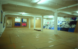 EGON ZIPPEL / Online Archive Cardboard Paintings and cardboard