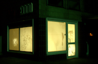 EGON ZIPPEL / Online Archive Insects / Spiders 