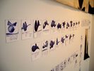 EGON ZIPPEL / Online Archive BAU (Beacon Artists Union) 2006 