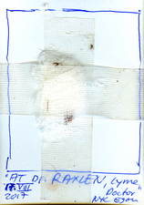 EGON ZIPPEL / Online Archive 3D / Color 