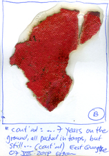 EGON ZIPPEL / Online Archive 3D / Color 