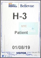 EGON ZIPPEL / Online Archive 3D / Color 