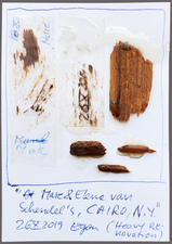 EGON ZIPPEL / Online Archive 3D / Color 
