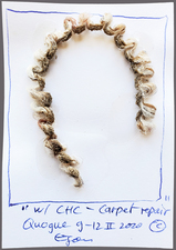 EGON ZIPPEL / Online Archive 3D / Color 