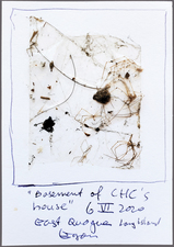 EGON ZIPPEL / Online Archive 3D / Color 