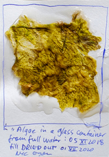 EGON ZIPPEL / Online Archive 3D / Color 