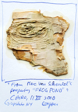 EGON ZIPPEL / Online Archive 3D / Color 