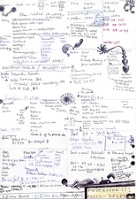 EGON ZIPPEL / Online Archive 2000 