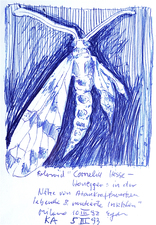 EGON ZIPPEL / Online Archive Insects 