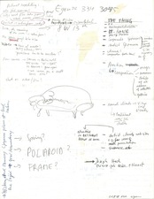 EGON ZIPPEL / Online Archive 1998 