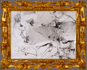 EGON ZIPPEL / Online Archive Insects / Spiders Spider webs (and their content) affixed on paper