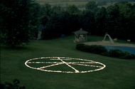 EGON ZIPPEL / Online Archive Light  Light bulbs in grass, 