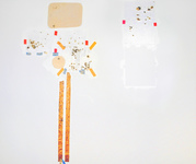 EGON ZIPPEL / Online Archive On Location Insects, bird by-products and other remnants from loft(life) on canvas