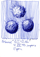 EGON ZIPPEL / Online Archive 1993 
