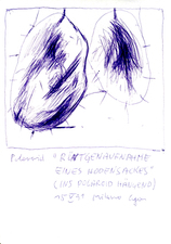 EGON ZIPPEL / Online Archive 1991 