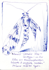 EGON ZIPPEL / Online Archive 1992 