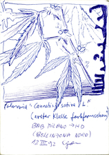 EGON ZIPPEL / Online Archive 1992 